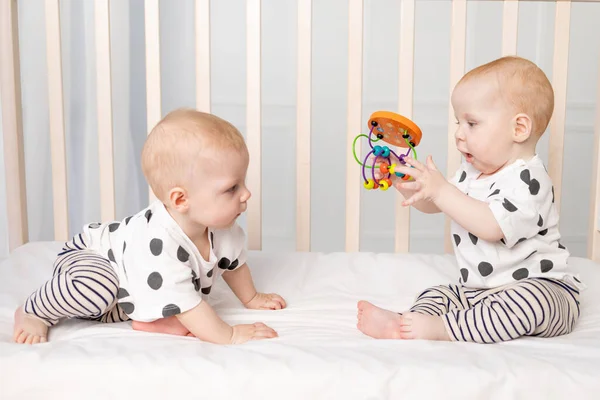 Два Ребенка Близнеца Месячного Ребенка Играющие Кроватке Раннее Развитие Детей — стоковое фото