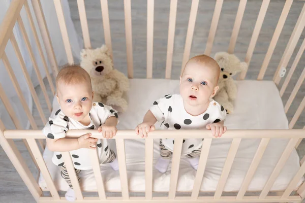 Zwei Kleine Zwillinge Bruder Und Schwester Monate Sitzen Schlafanzug Der — Stockfoto