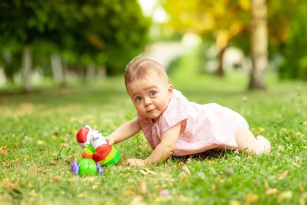 Маленька Дівчинка Місяців Грає Зеленому Газоні Рожевому Бодібілдингу Ходить Свіжому — стокове фото