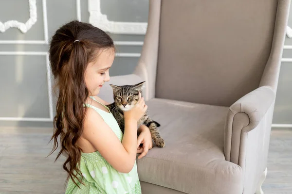 A child plays with a cat at home, a little girl holds a cat in her arms, the concept of a child's friendship with animals