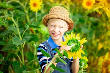 Mutlu erkek bebek sarışın yaz ayçiçekleri olan bir tarlada oturuyor, çocuk yaşam tarzı.