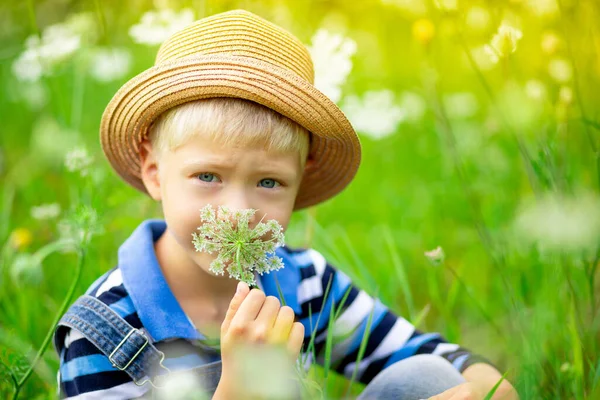Портрет Щасливого Хлопчика Полі Квітами Дитина Нюхає Квіти Полі Дитячий — стокове фото