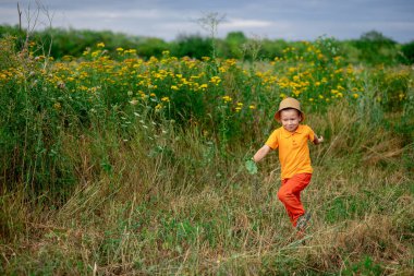 Mutlu erkek bebek yazın tarlada koşuyor, bir çocuğun yaşam tarzı.