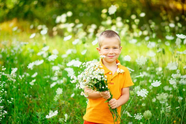 Щасливий Хлопчик Полі Квітами Тримає Букет Квітів Дитячий Спосіб Життя — стокове фото