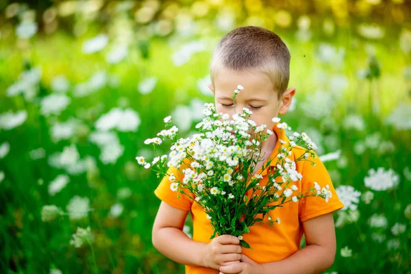 Портрет Щасливого Хлопчика Полі Квітами Дитина Нюхає Квіти Полі Дитячий — стокове фото