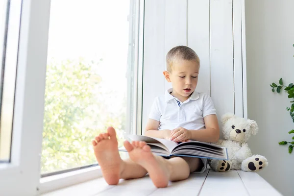 a small boy sits on the window with a book and a soft bear