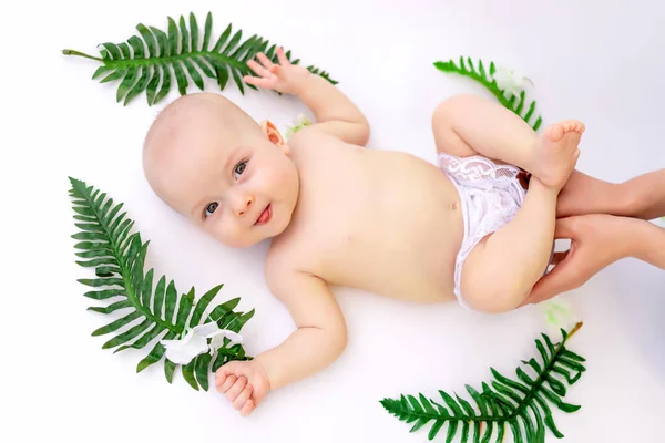 一个6个月大的小孩躺在绿叶中 背景是白色的 孤立的 是婴儿和母亲的手 — 图库照片