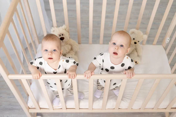 Dos Hermanos Gemelos Bebé Hermana Meses Sientan Pijama Cuna Mirar —  Fotos de Stock