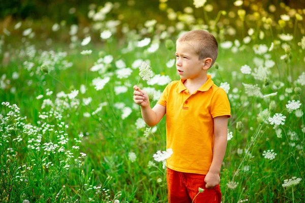 Stock image portrait of a happy boy in a field with flowers, a child sniffing flowers in a field, children's lifestyle