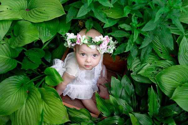 Menina Meses Idade Sentado Grama Belo Vestido Uma Grinalda Flores — Fotografia de Stock