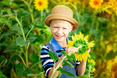 Mutlu erkek bebek sarışın yaz ayçiçekleri olan bir tarlada oturuyor, çocuk yaşam tarzı.