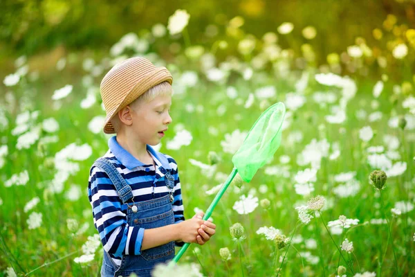 Щасливий Хлопчик Капелюсі Прогулює Полем Квітами Ловить Метеликів Сіткою Щасливим — стокове фото