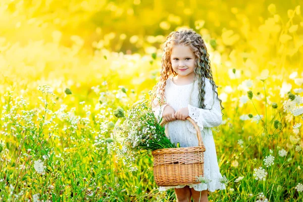 Красива Маленька Дівчинка Білій Сукні Влітку Жовтому Полі Кошиком Квітів — стокове фото