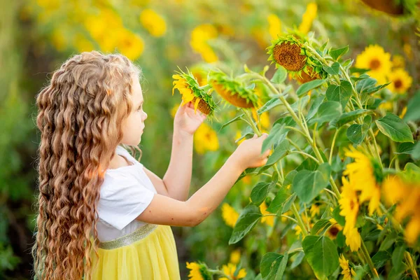 Uma Menina Bonita Pequena Prende Girassol Campo Verão — Fotografia de Stock