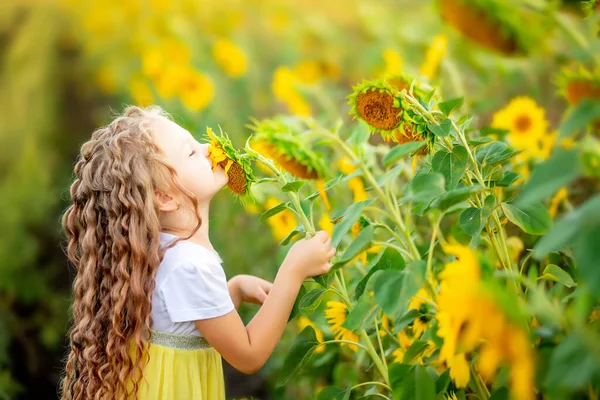 Una Niña Hermosa Sostiene Girasol Campo Verano —  Fotos de Stock