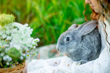 Yazın yeşil çimlerin üzerinde bir kızın kollarında gri bir tavşan.