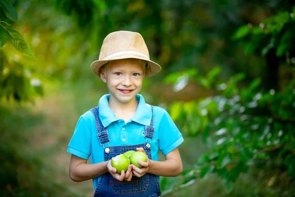 Mavi Elbiseli Şapkalı Elma Ağaçlı Elmalı Mutlu Bir Çocuğun Portresi — Stok fotoğraf