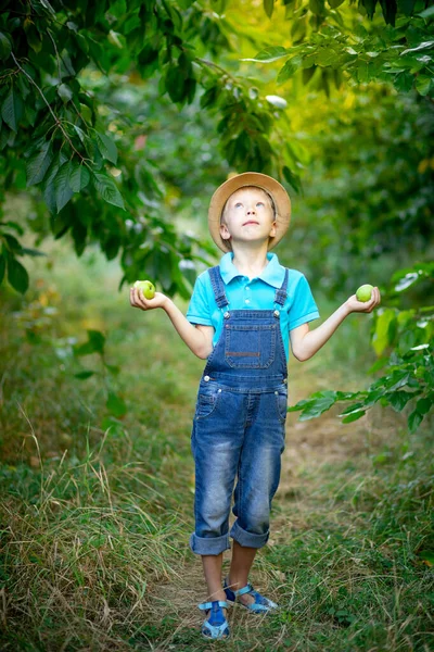 Boy Six Years Old Stands Blue Dress Hat Garden Apple — Stock Photo, Image