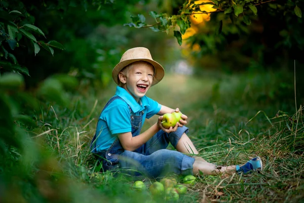 Altı Yaşındaki Mutlu Çocuk Elma Bahçesindeki Çimlerin Üzerinde Oturuyor Elinde — Stok fotoğraf