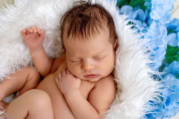 Nyfødt Baby Pige Sover Sødt Uger Kurv Med Hvid Pels - Stock-foto