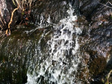 Dağlardaki bir pınarın yakın manzarası