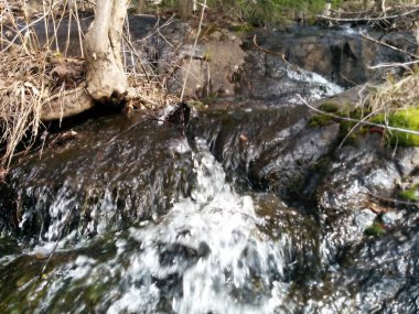 Dağlardaki bir pınarın yakın manzarası