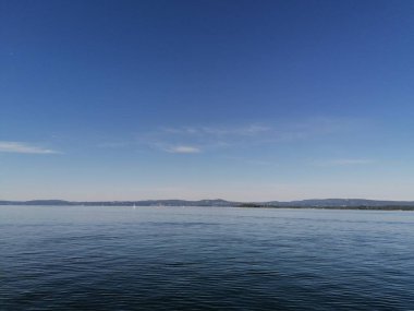 Açık mavi gökyüzü ve çam ağaçları ile güzel sakin bir gün.