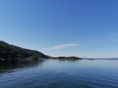 Açık mavi gökyüzü ve çam ağaçları ile güzel sakin bir gün.