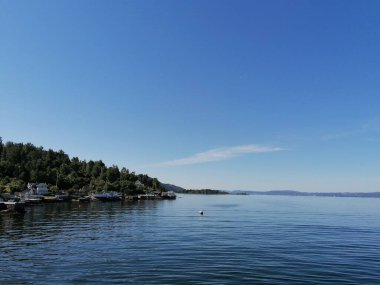 Açık mavi gökyüzü ve çam ağaçları ile güzel sakin bir gün.