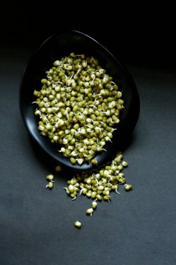Mung fasulyeleri siyah arka planda izole edilir. Kavanozda fasulye