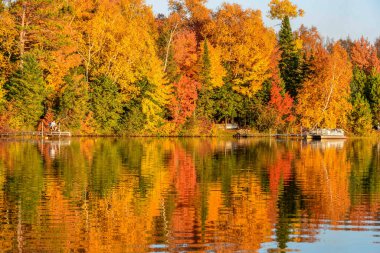 Autumn trees reflecting in still calm lake. River current running through lake. Fall colors lakeshore. Horizontal scenic landscape clipart