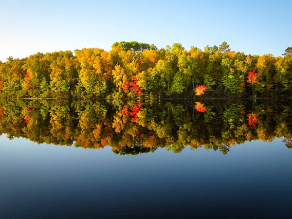 Herbstbäume Spiegeln Sich Wasser — Stockfoto