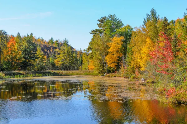 Beau Paysage Automne Avec Arbres Lac — Photo