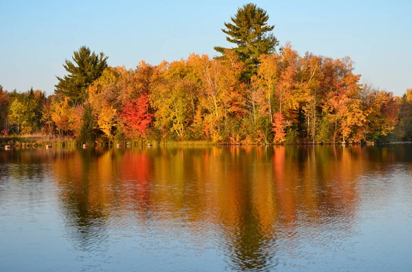 Bellissimo Paesaggio Autunnale Con Alberi Lago — Foto Stock