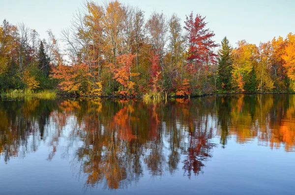 Bela Paisagem Outono Com Árvores Lago — Fotografia de Stock