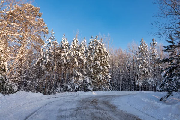 Zimowa Droga Pokryta Śniegiem Wiecznie Zielone Drzewa Pokryte Śniegiem Krajobraz — Zdjęcie stockowe
