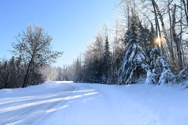 Camino Invierno Cubierto Nieve Árboles Siempreverdes Cubiertos Nieve Paisaje Horizontal — Foto de Stock