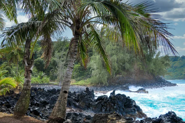 Пальмы Океанский Пляжный Ландшафт — стоковое фото