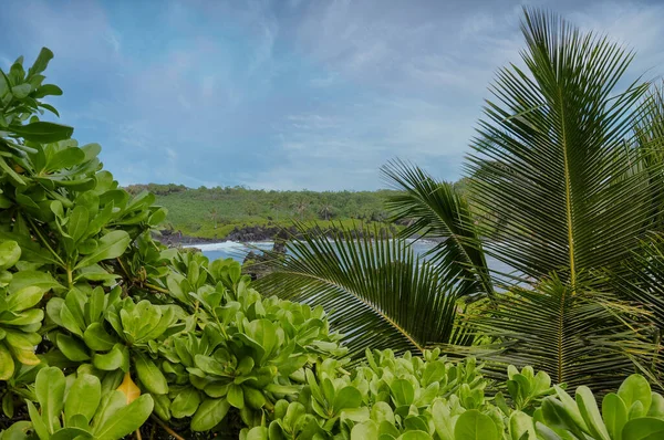 Naturskön Utsikt Över Havet Med Förgrund Tropiska Träd Och Buskar — Stockfoto