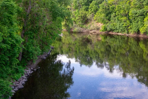 Riflesso Degli Alberi Verdi Fogliame Riva Del Fiume Minnesota Estate — Foto Stock