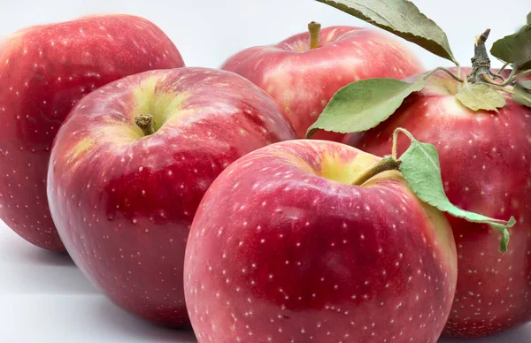 白い背景に健康的な果物の赤いリンゴ コピースペース付き水平写真 — ストック写真