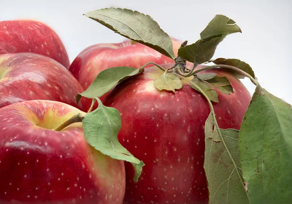 Gesunde Früchte Rote Äpfel Auf Weißem Hintergrund Horizontales Foto Mit — Stockfoto