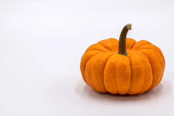 Een Enkele Oranje Pompoen Kalebas Witte Horizontale Witte Achtergrond — Stockfoto