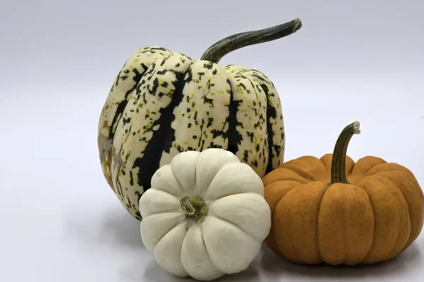 Tres Calabazas Cosecha Sobre Fondo Blanco Verduras Otoño Horizontal —  Fotos de Stock