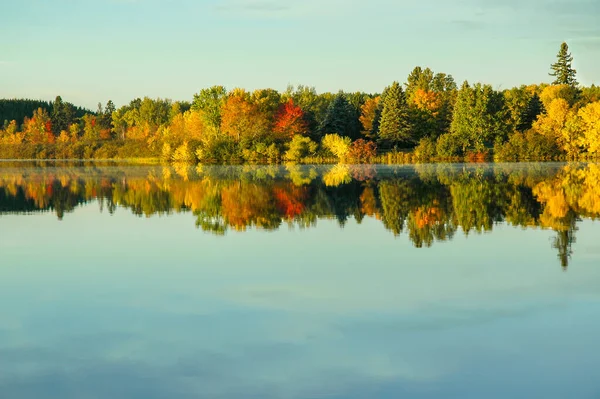Reflet Des Arbres Automne Colorés Dans Eau Lac Minnesota — Photo