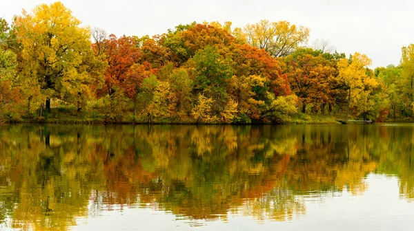 Colorido Árvores Outono Reflexão Água Minnesota Lake — Fotografia de Stock