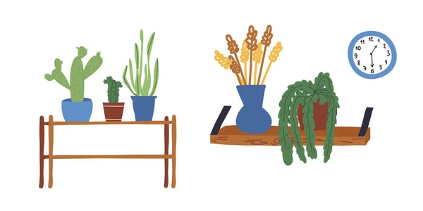 Olika hem växter i krukor som kaktus, bowstring hampa på ett bord stativ, pampas gräs i vas och en väggklocka. — Stock vektor