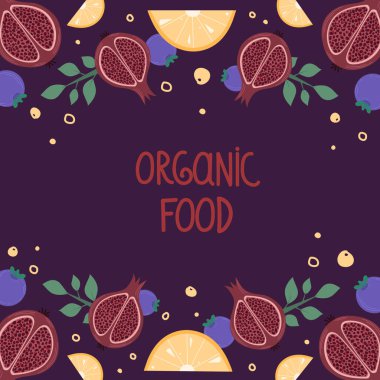 Organik meyve menüsü. Nar ve portakal dilimli vektör çizimi.