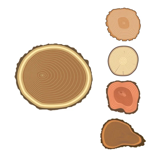 Árbol madera tronco rebanada textura círculo corte madera materia prima vector detalle planta años historia textura bosque áspero árbol superior . — Archivo Imágenes Vectoriales