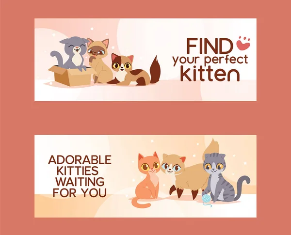 Animais de estimação adotam encontrar amizade poster ilustração vetorial. Amor gatinho e gato banners de adoção . —  Vetores de Stock